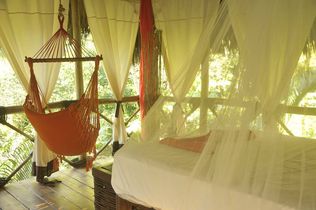 Dominican Tree House Village Room 1 Dominican Tree House Village Room 1